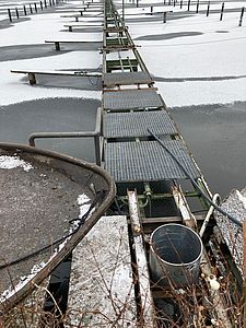 image-9509