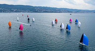 image-10512